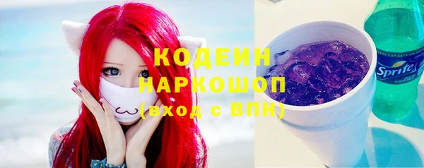ГАЛЛЮЦИНОГЕННЫЕ ГРИБЫ Лагань