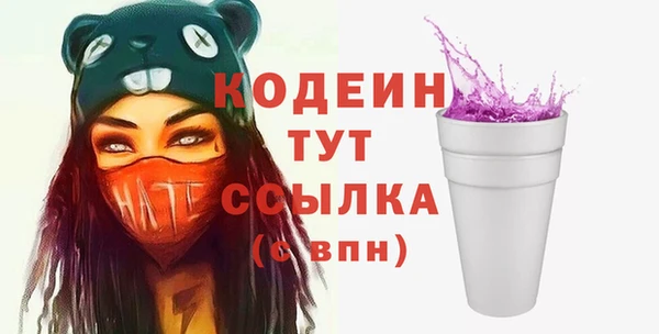 ГАЛЛЮЦИНОГЕННЫЕ ГРИБЫ Лагань