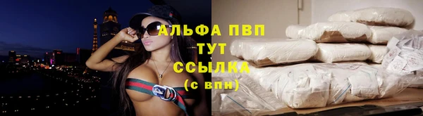 ГАЛЛЮЦИНОГЕННЫЕ ГРИБЫ Лагань
