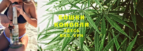 ГАЛЛЮЦИНОГЕННЫЕ ГРИБЫ Лагань