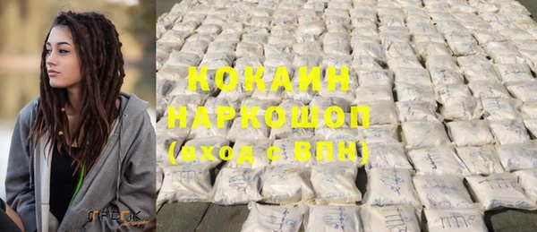 ГАЛЛЮЦИНОГЕННЫЕ ГРИБЫ Лагань