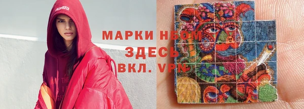 ГАЛЛЮЦИНОГЕННЫЕ ГРИБЫ Лагань