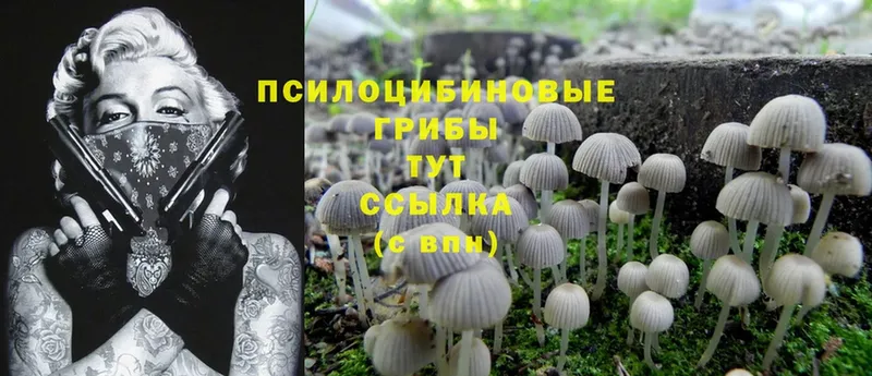 Псилоцибиновые грибы MAGIC MUSHROOMS  Кущёвская 