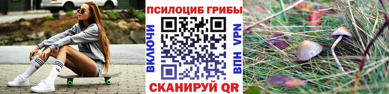 Псилоцибиновые грибы MAGIC MUSHROOMS  Кущёвская 